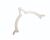 DRIVE GEAR ADJUSTING PAD (Item nr. 16)