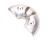 AT10 EXHAUST PIPE HEAT SHIELD FRONT (Item nr. 6)